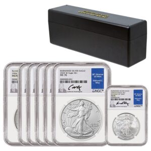 2006-2025 Burnished Silver Eagle MS70 Date Run including the 2008 with the 2007 Reverse